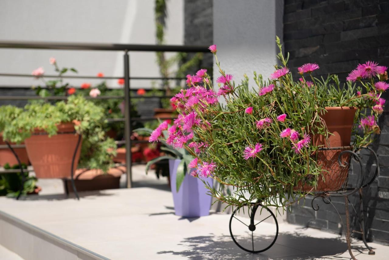 Almare Seaside Studios & Suites - Sarti Sithonia Exteriör bild